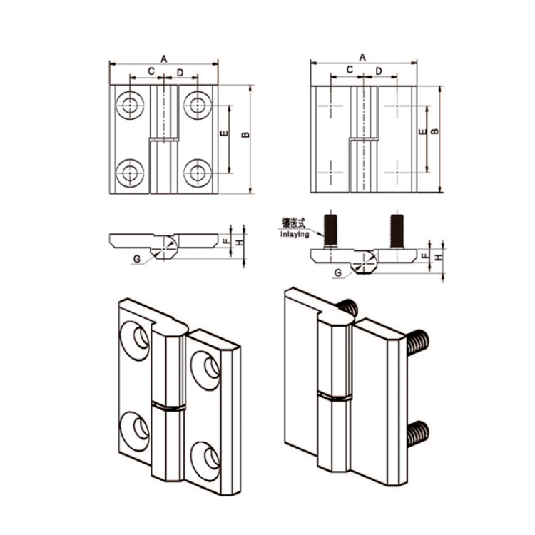 Flush-ineptus delapsum Hinge-B2207