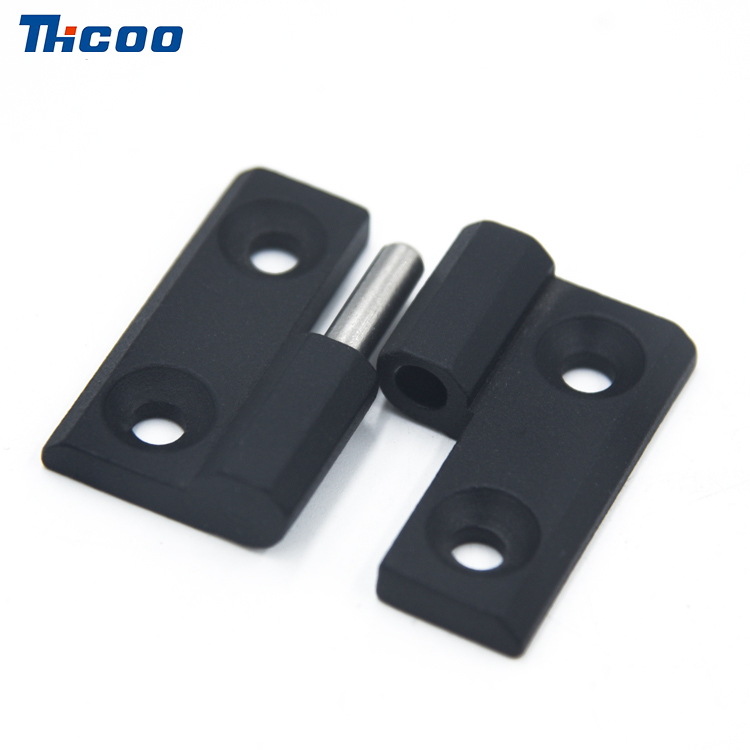 Flush-ineptus delapsum Hinge-B2207