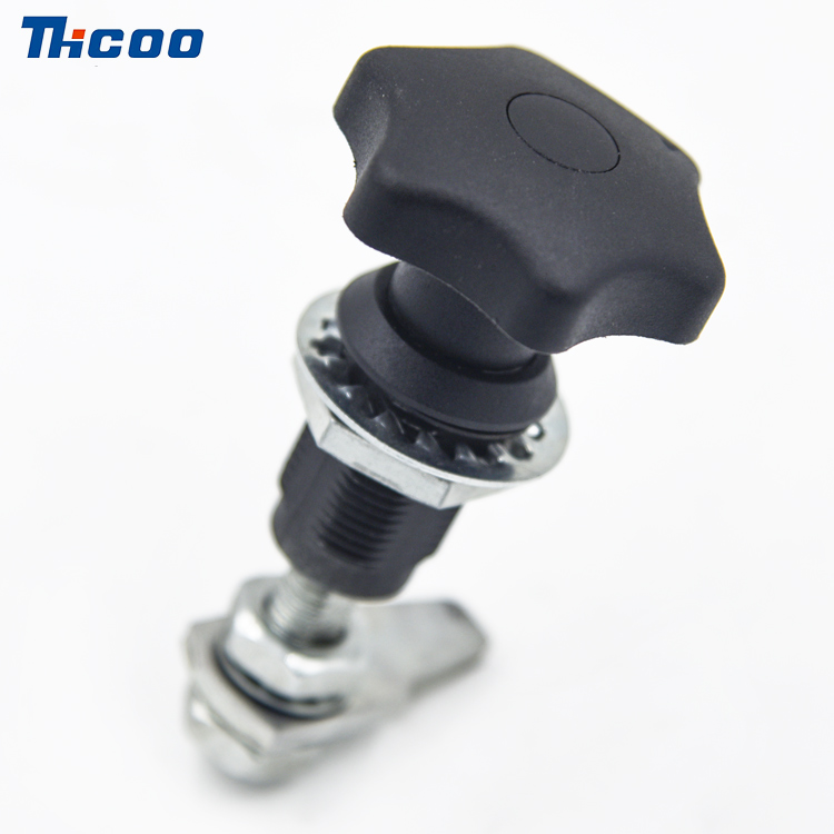 LABIUM Knob Novifacta convertimini lingua sursum-A6308-1, II