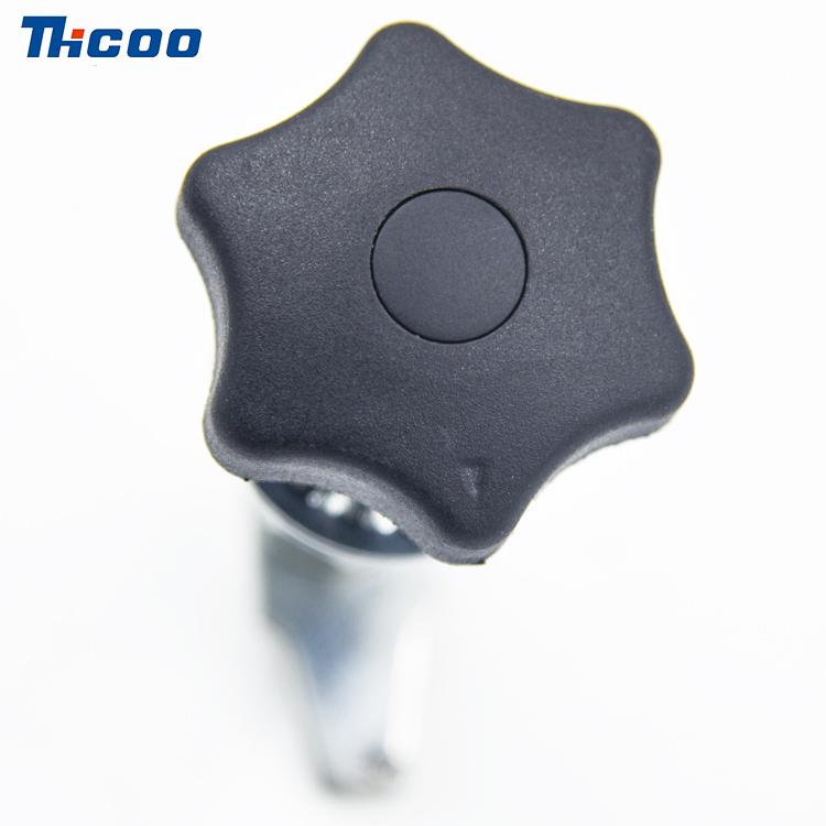 LABIUM Knob Novifacta convertimini lingua sursum-A6308-1, II